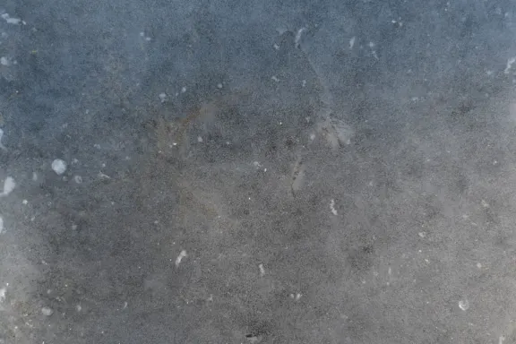 카지노 코인스 게임 지원